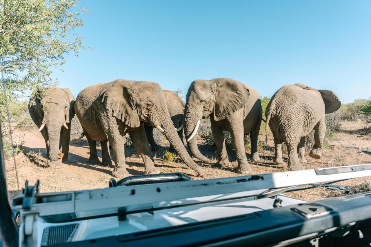 Omaruru Game Lodge Ngoại thất bức ảnh