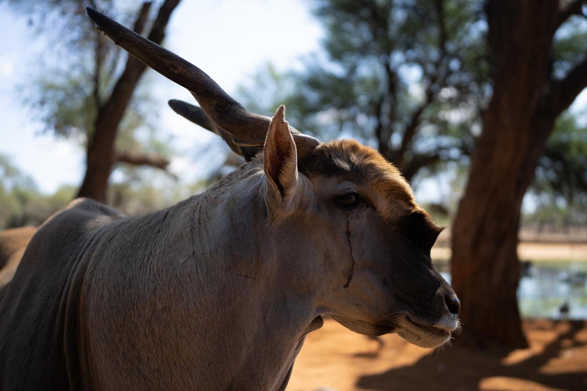 Omaruru Game Lodge Ngoại thất bức ảnh