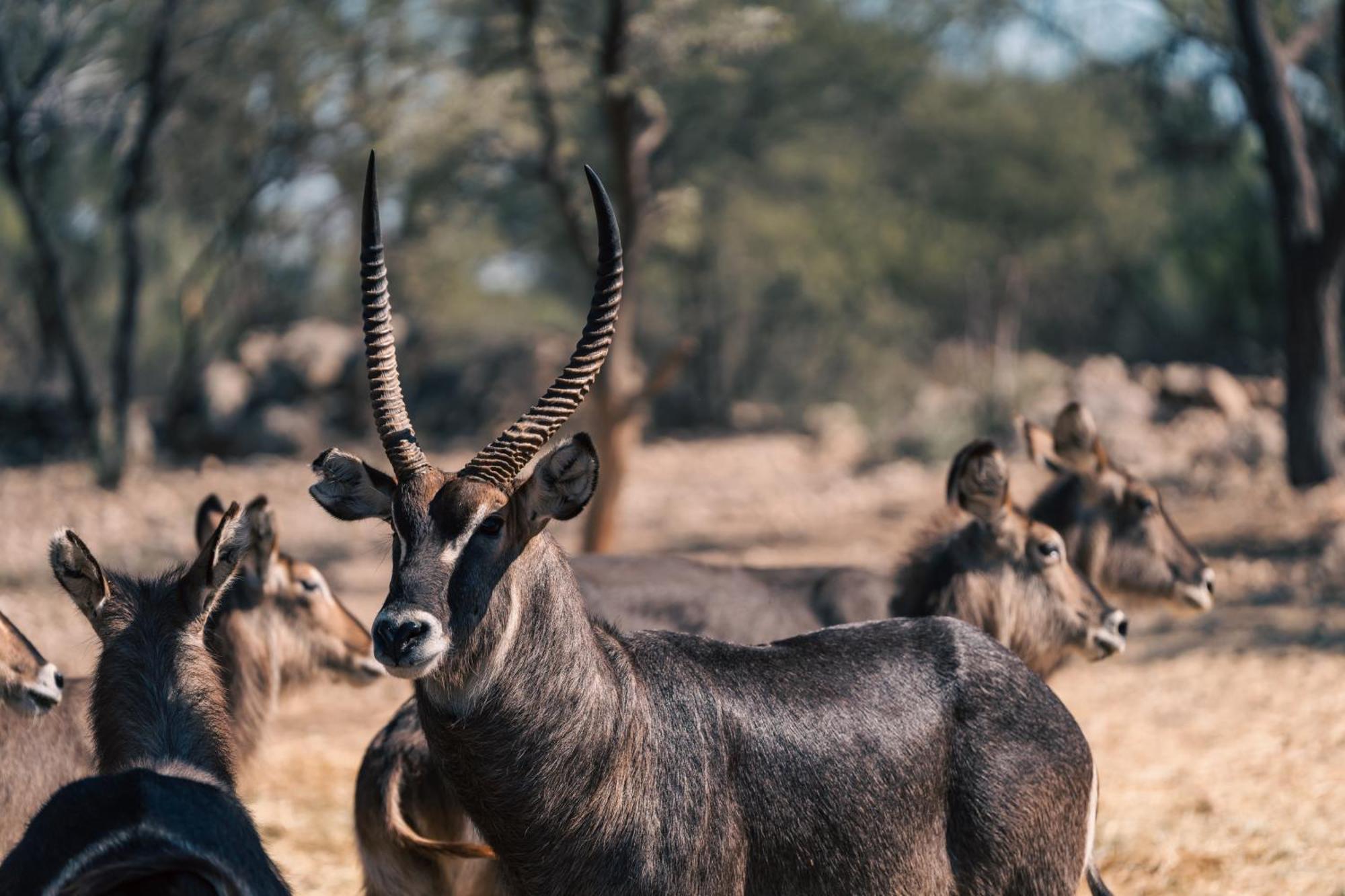 Omaruru Game Lodge Ngoại thất bức ảnh