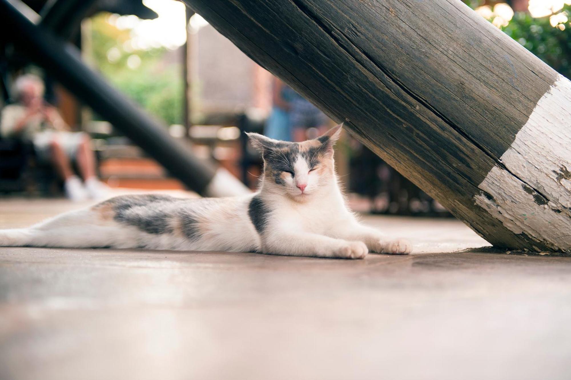 Omaruru Game Lodge Ngoại thất bức ảnh