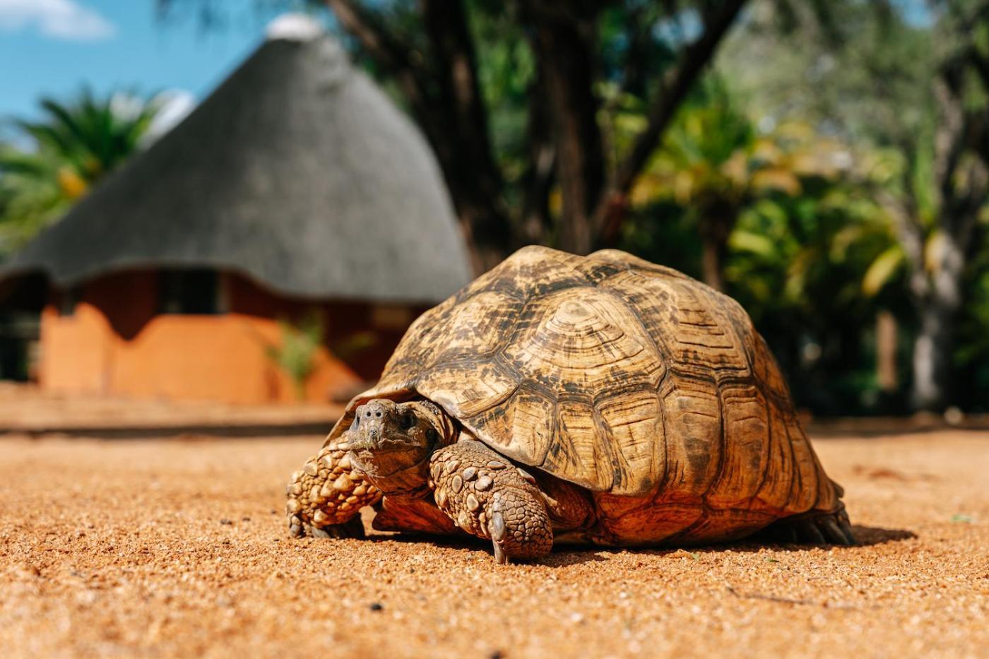Omaruru Game Lodge Ngoại thất bức ảnh